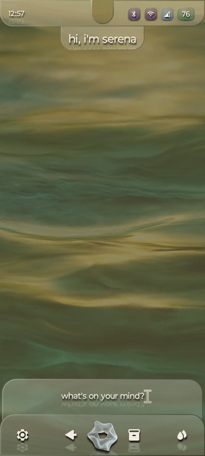 Serena conversation surface in the live EcoHalo app